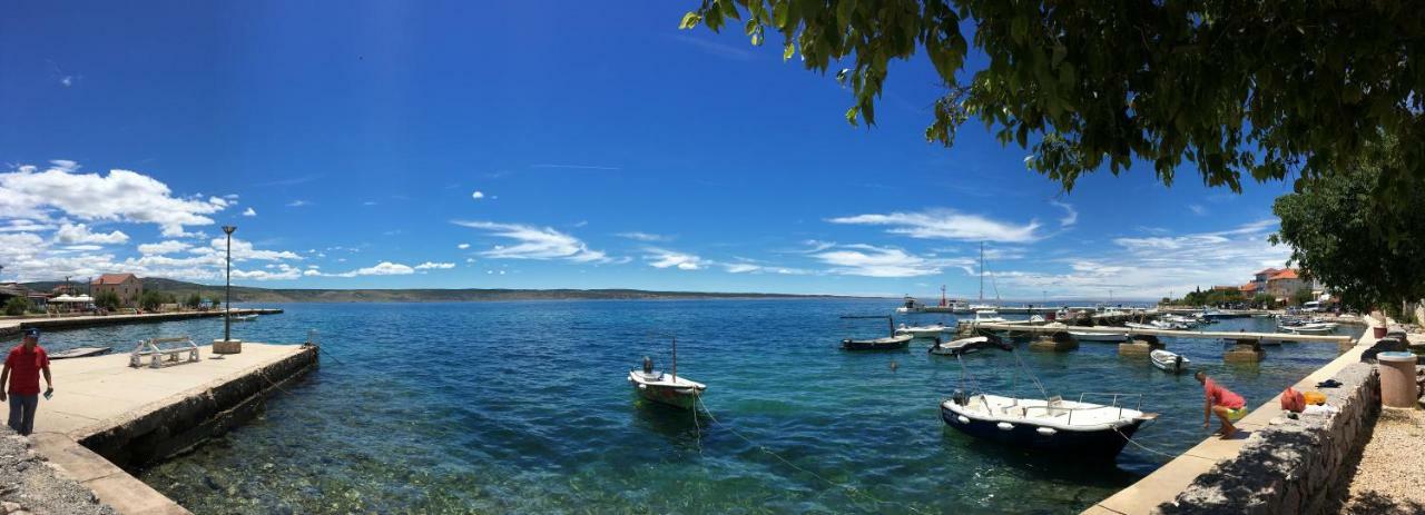 Apartmani 4 Palme Starigrad Paklenica Exterior foto